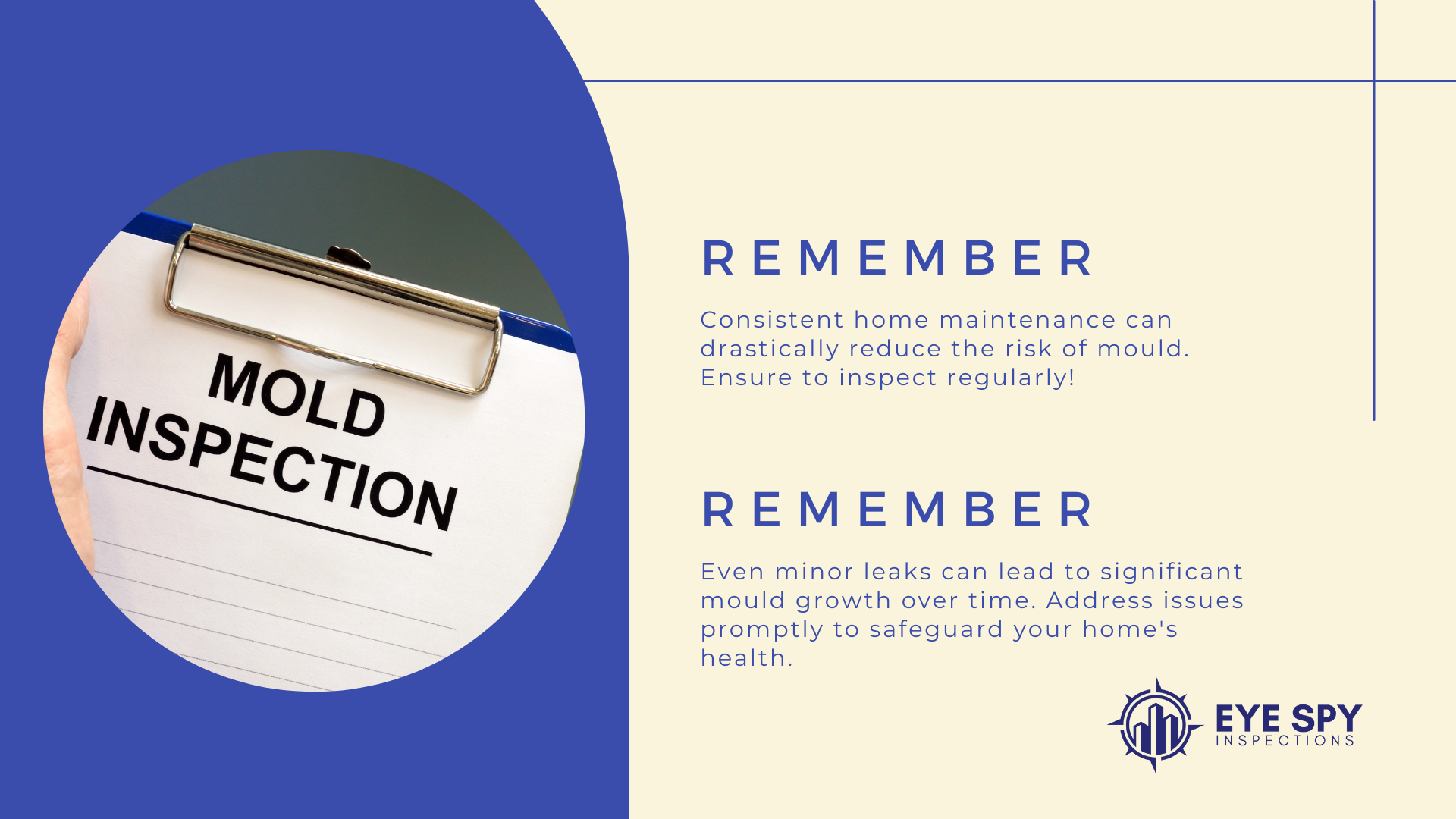Mould Inspection Guide for Home Buyers Eye Spy Property Inspections
